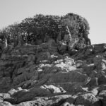 Rochers sculptés