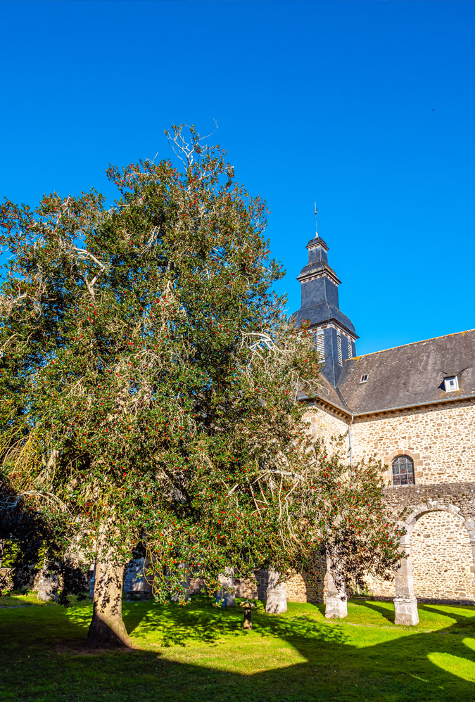 L’Abbaye Notre Dame du Tronchet