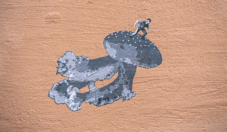 Art urbain à Intra-Muros