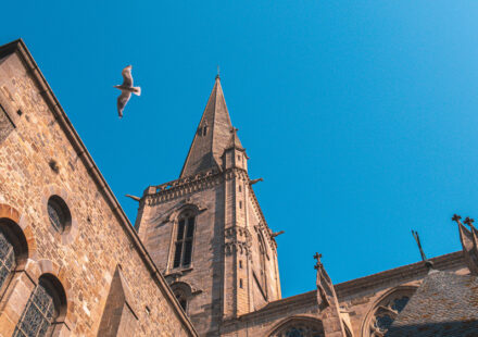 La cathédrale Saint-Vincent
