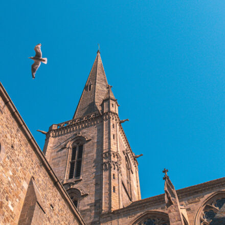 La cathédrale Saint-Vincent