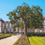 Domaine du Montmarin