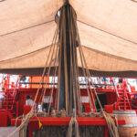 Frégate Etoile du Roy