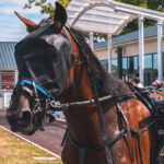 Hippodrome de Marville