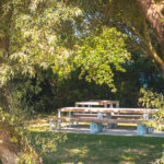 Parc du Nicet