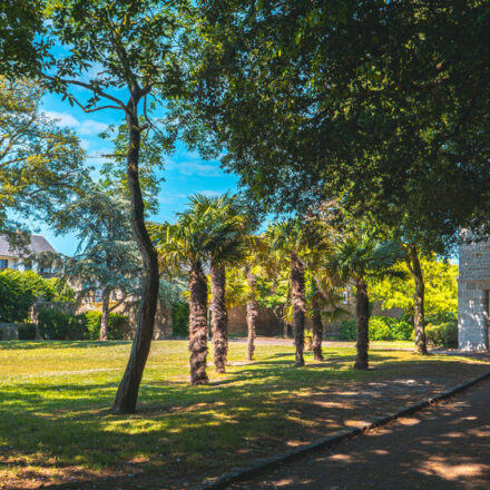 Parc de Bel-Air