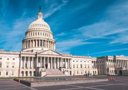 Washington D.C.