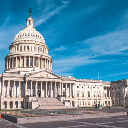 Washington D.C.