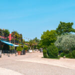 Terra Botanica