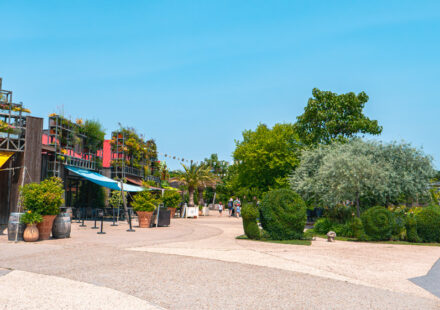 Terra Botanica