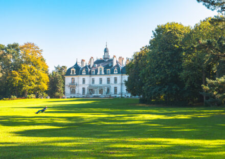 Parcours d’orientation au parc de la Briantais