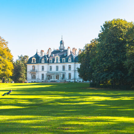Parcours d’orientation au parc de la Briantais