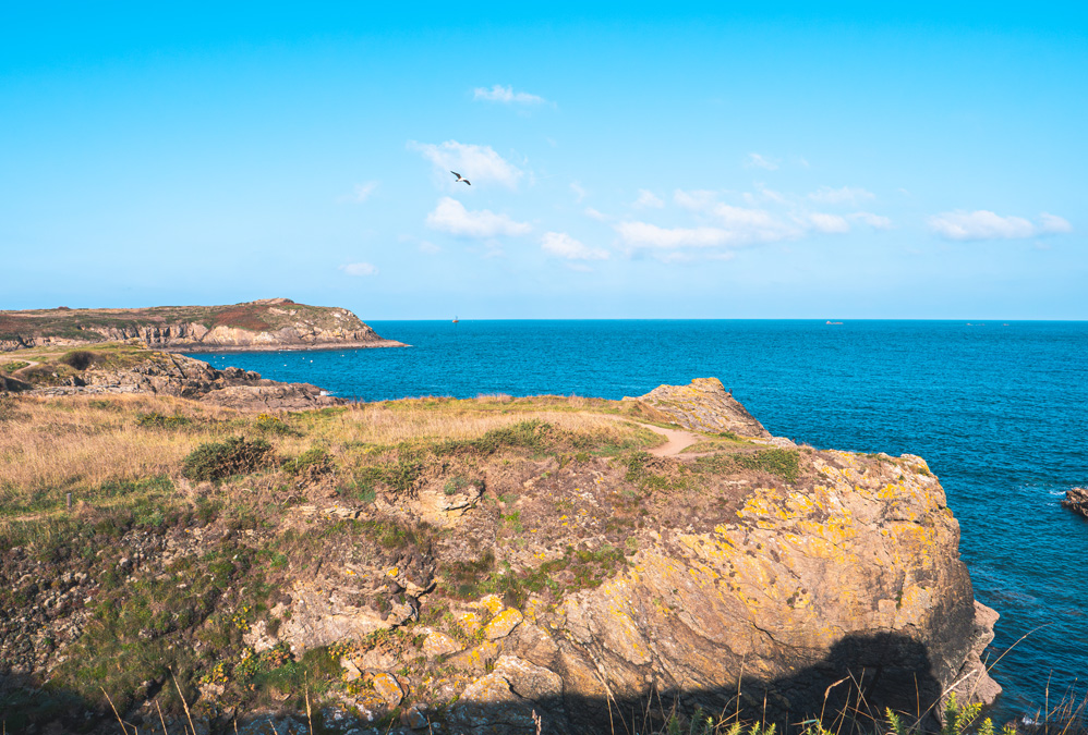Parcours d’orientation Rothéneuf