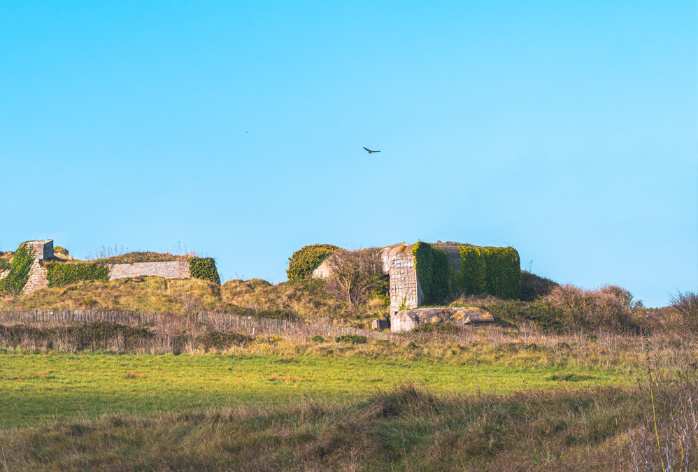 Parcours d’orientation Rothéneuf