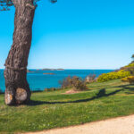 Le jardin de Port-Riou