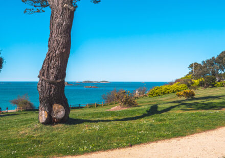 Le jardin de Port-Riou