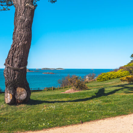 Le jardin de Port-Riou