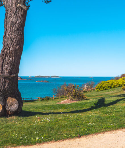 Le jardin de Port-Riou