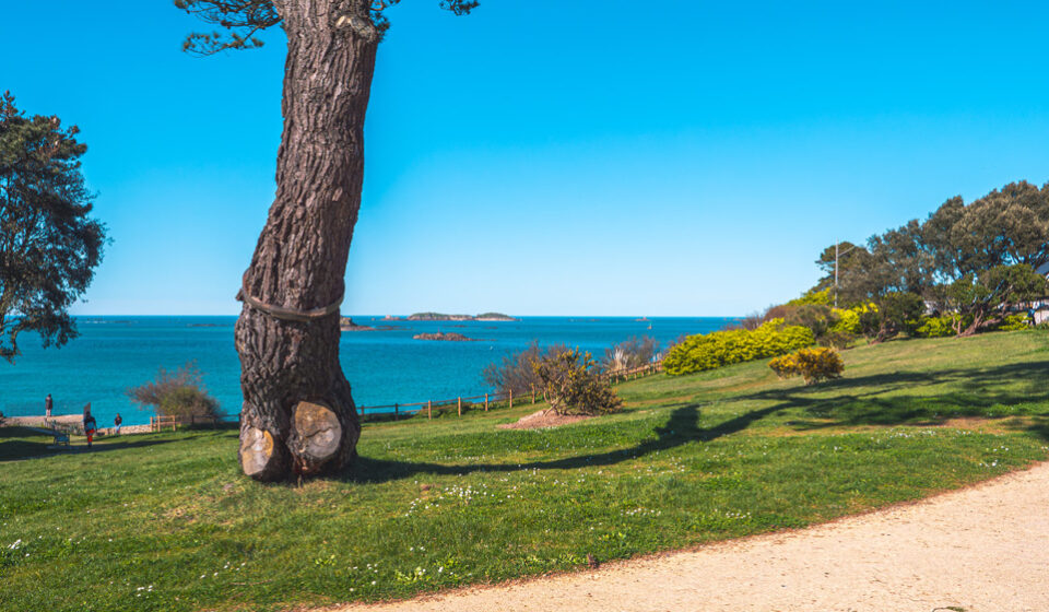 Le jardin de Port-Riou