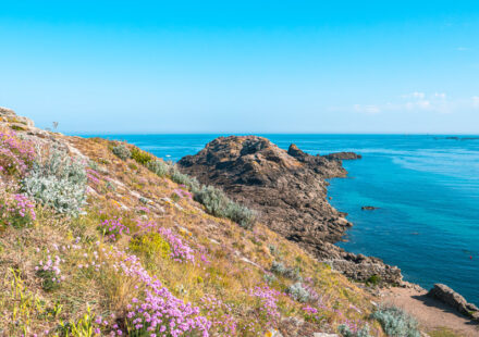 La pointe du Décollé