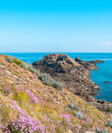 La pointe du Décollé