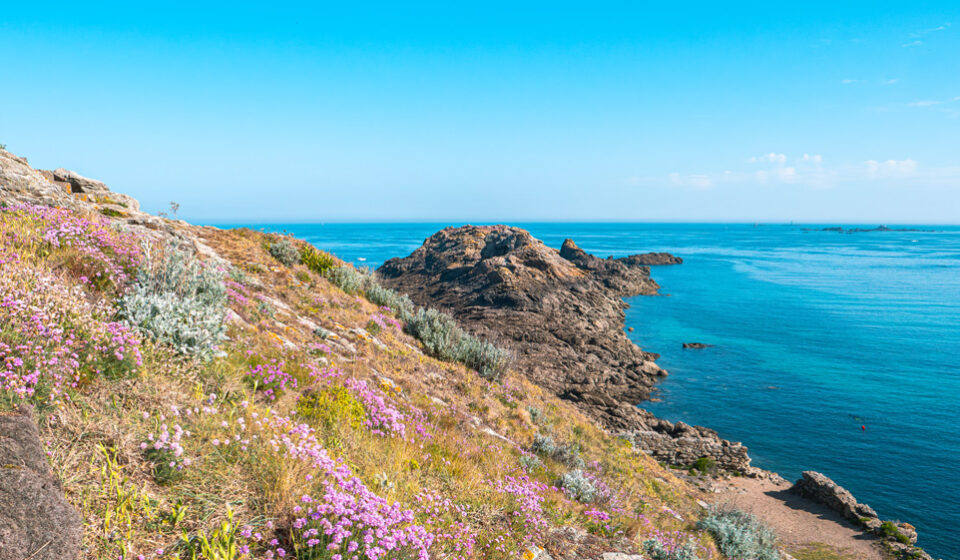 La pointe du Décollé