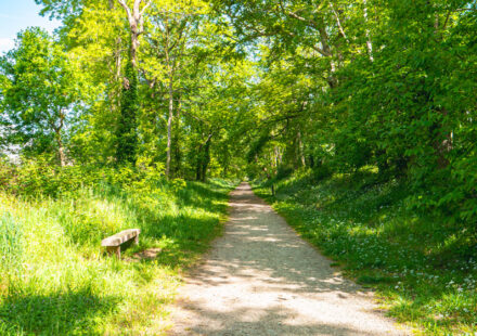 Le parcours sportif du Bois Renou