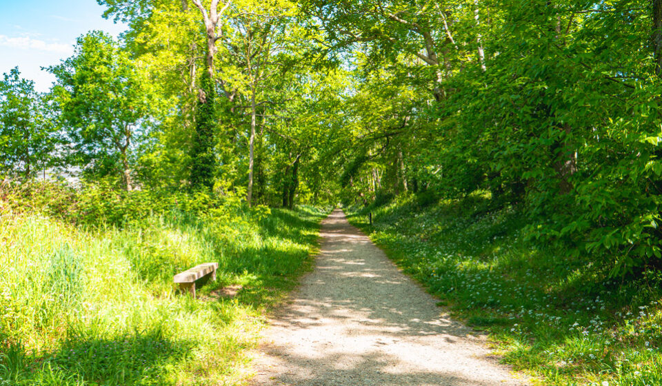 Le parcours sportif du Bois Renou