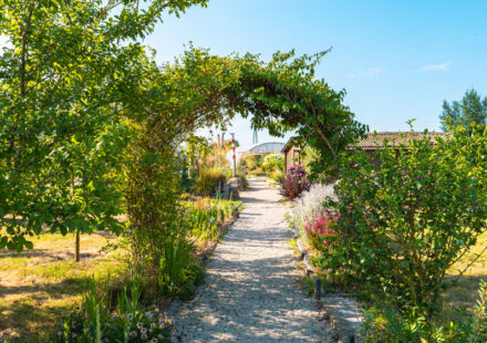 Le jardin solidaire de Saint-Malo