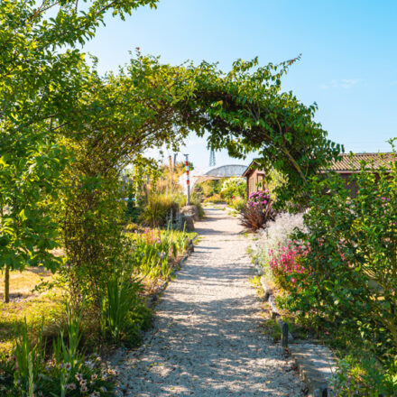 Le jardin solidaire de Saint-Malo