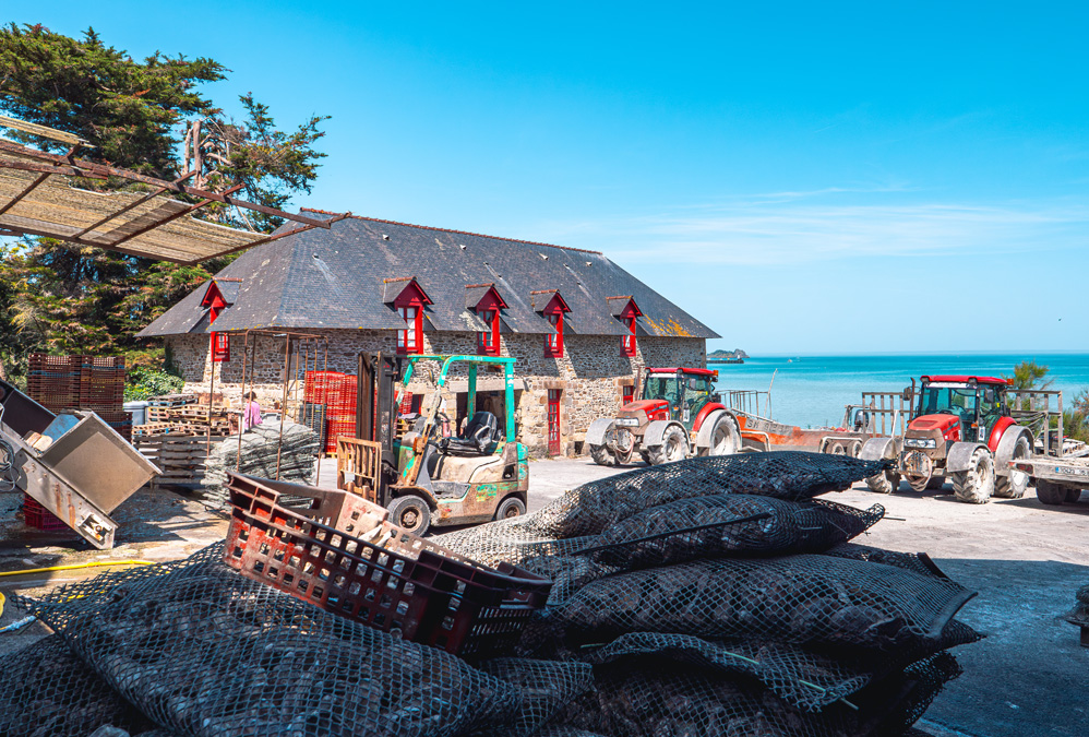 La Ferme marine à Cancale