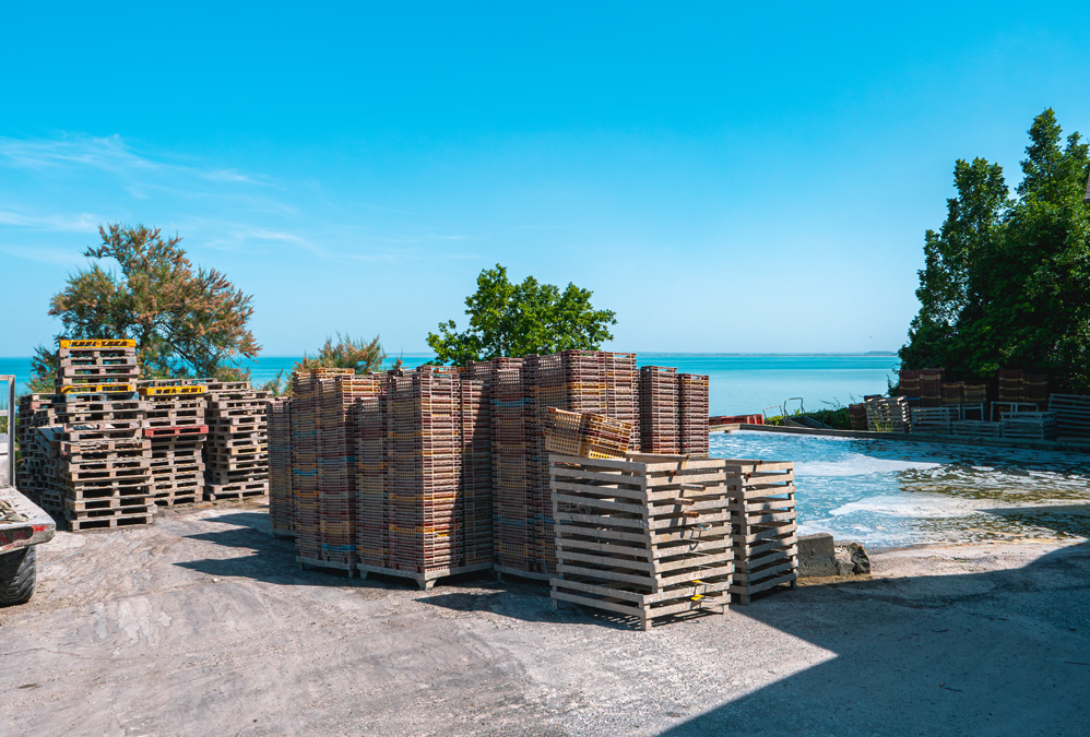 La Ferme marine à Cancale