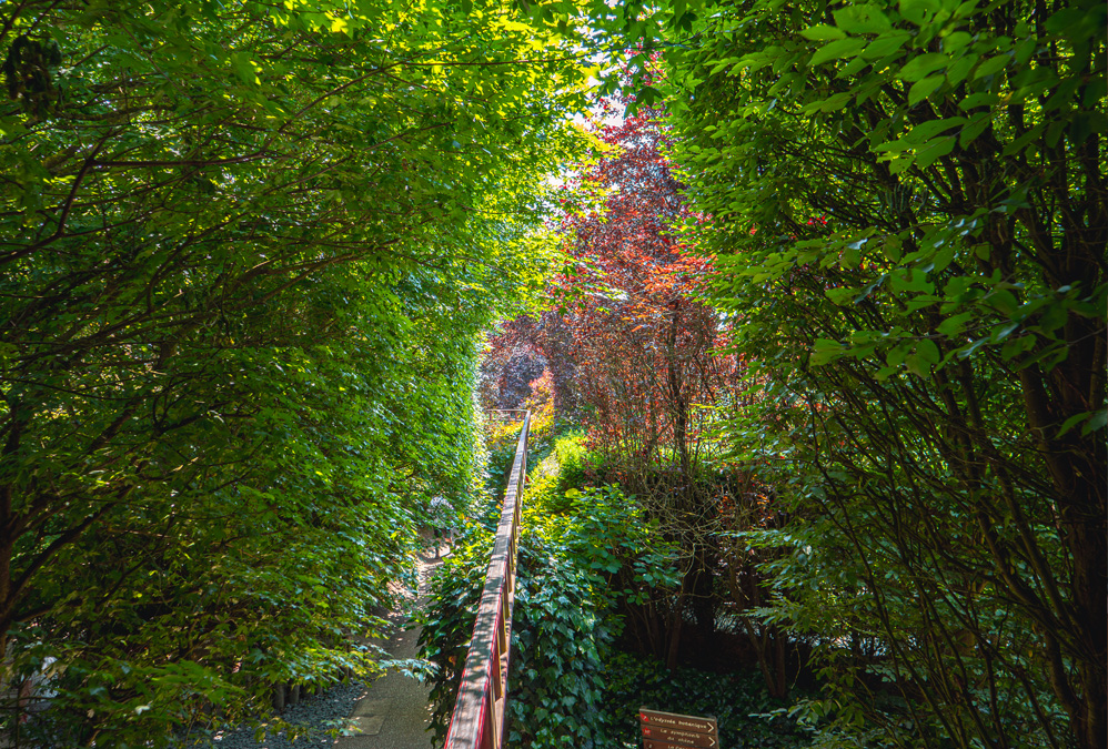 Destination Terra Botanica
