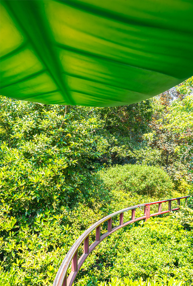 Destination Terra Botanica