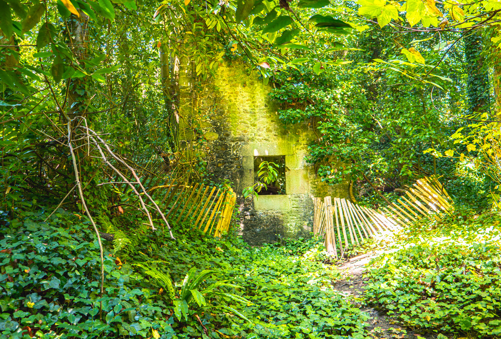 Balade côté Roche aux mouettes