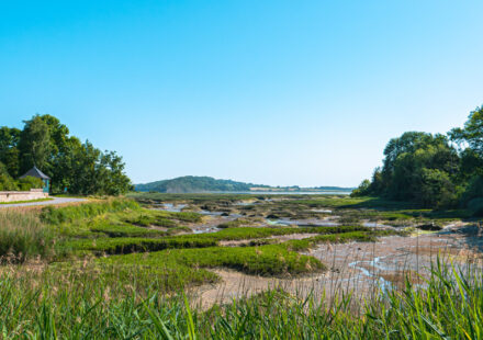 Balade côté Plouer-sur-Rance