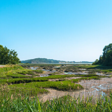 Balade côté Plouer-sur-Rance