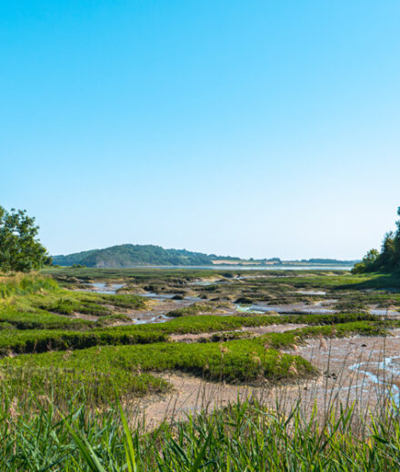Balade côté Plouer-sur-Rance